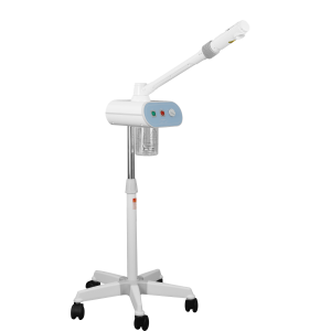 Aroma Therapy Ozone  Steamer